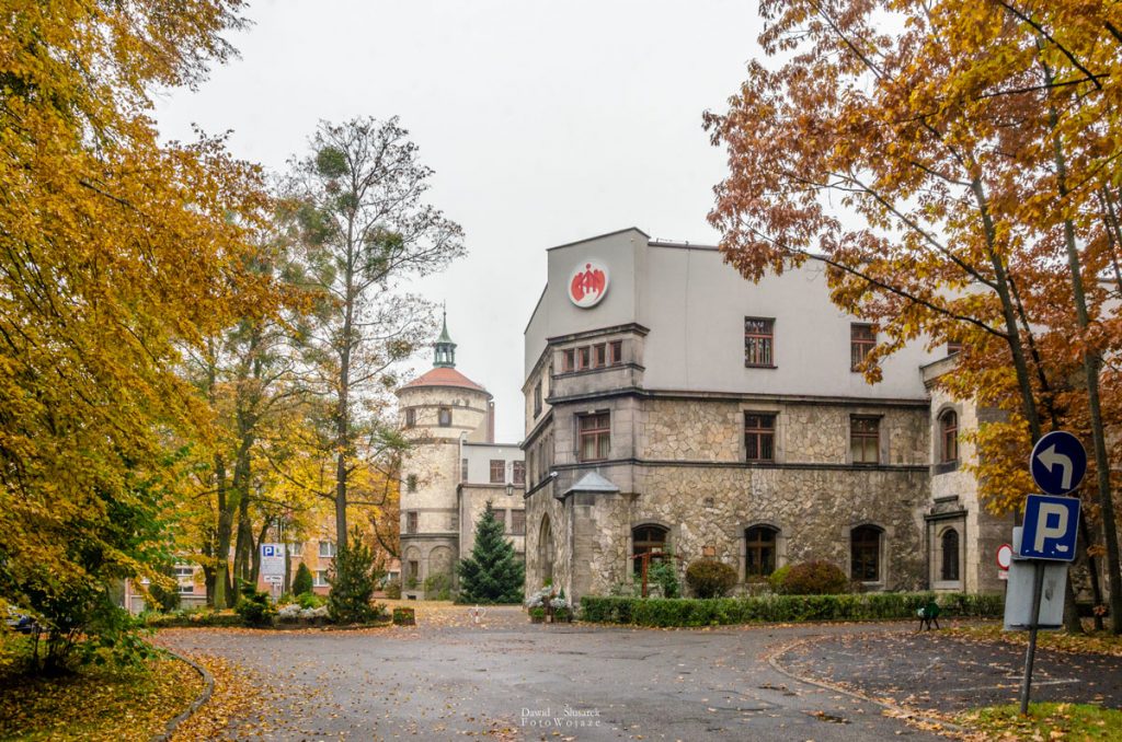 Pałace w okolicy Tarnowskich Gór - Repty Śląskie